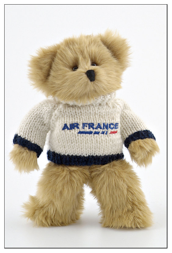 Ourson Air France